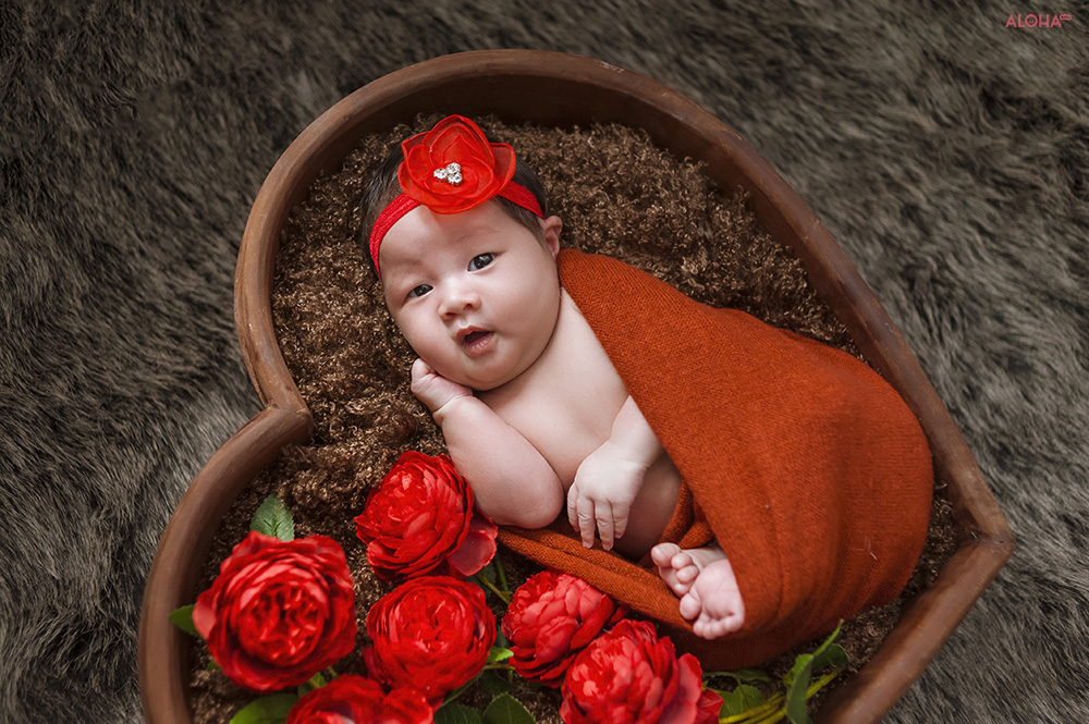 album ảnh newborn 26